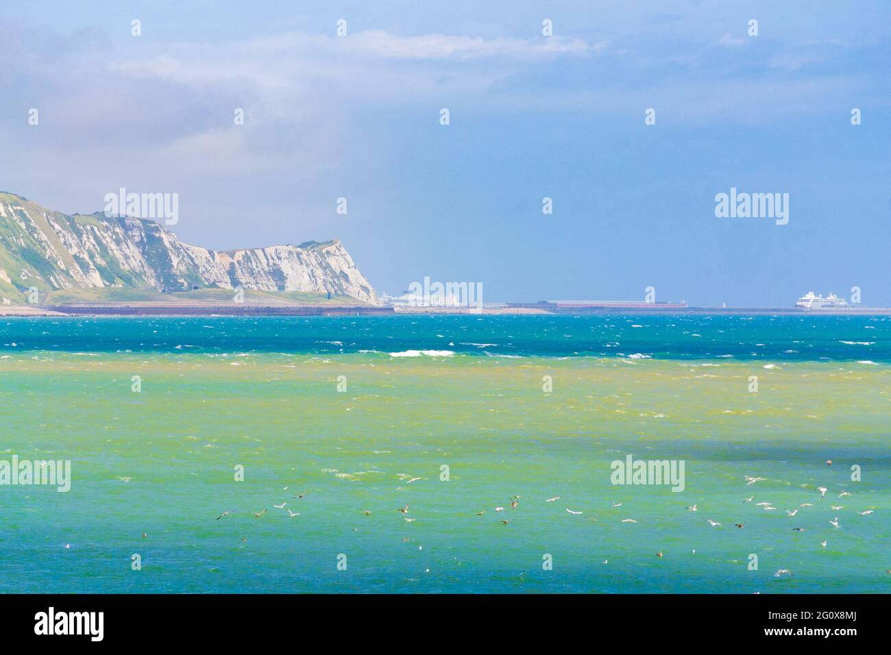 View of Folkestone East Cliffs and Warren Country Park, Copt point