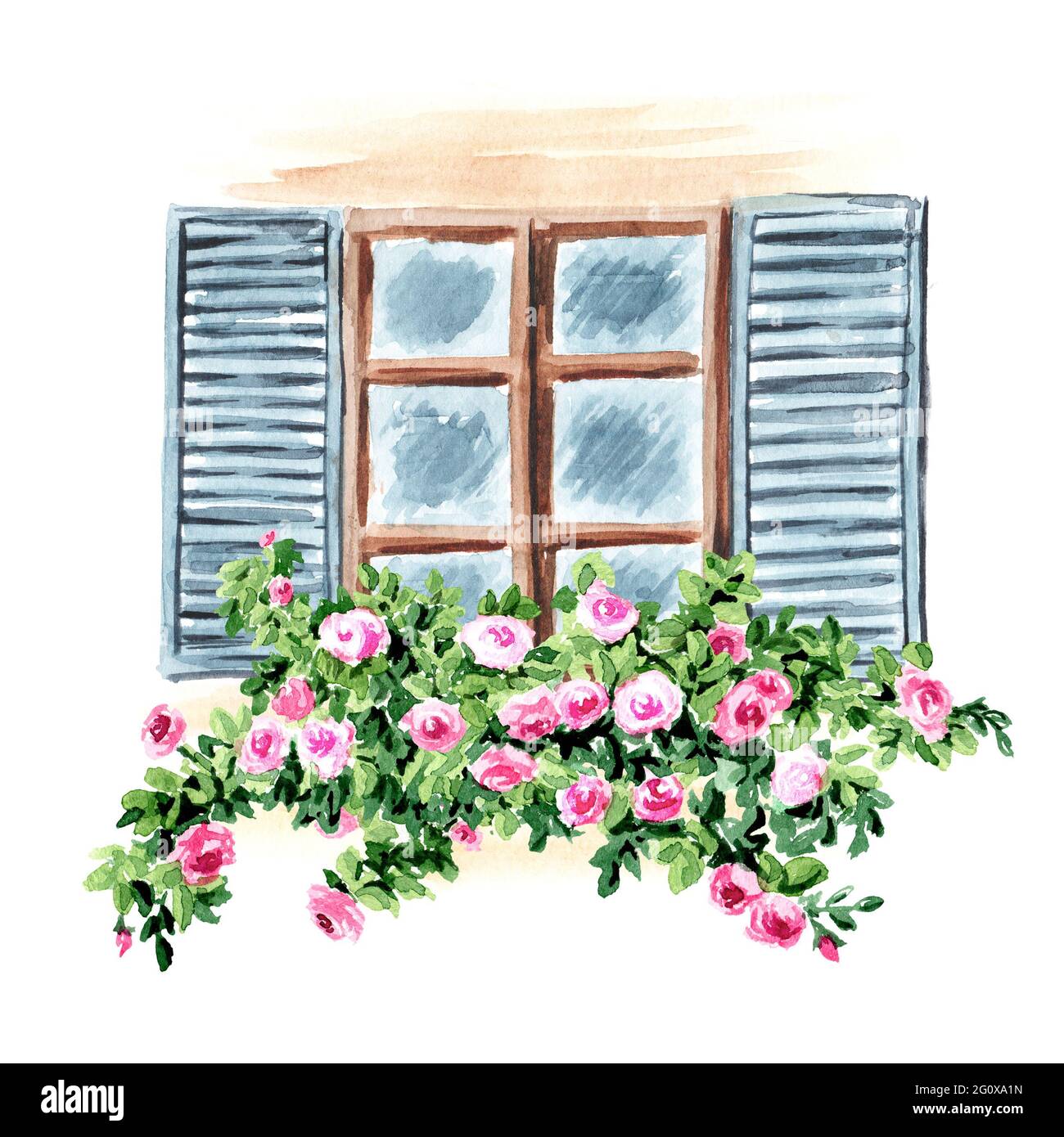 Open window wild climbing roses. Hand drawn watercolor illustration ...