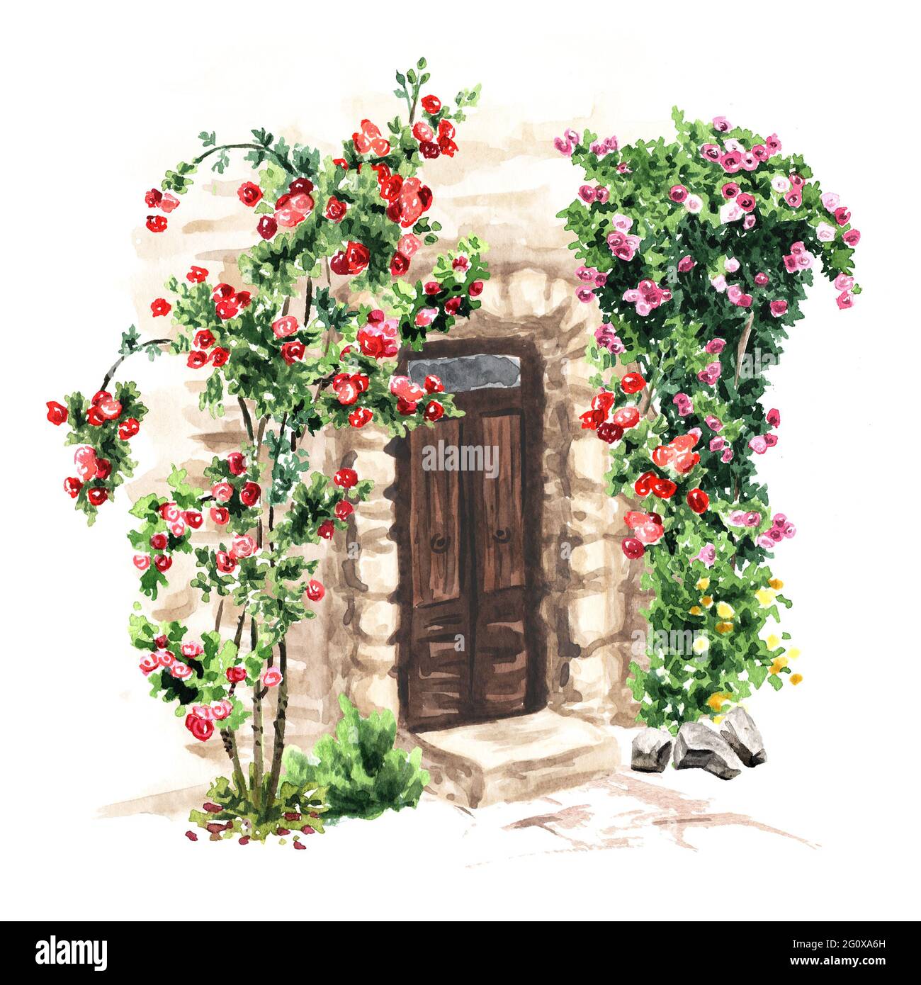 Wooden door in an old stone house with climbing rores. Hand drawn ...