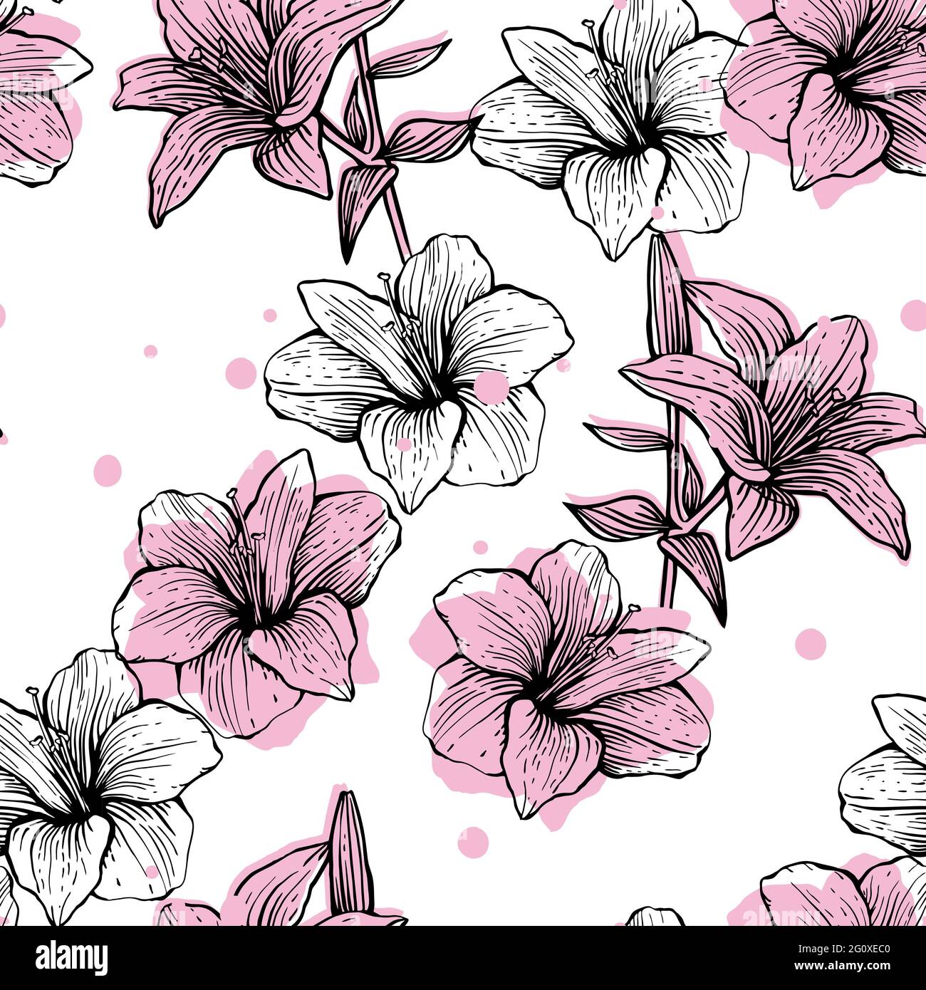 Hand drawn lily flower illustration set. Vector stock clip art Stock ...