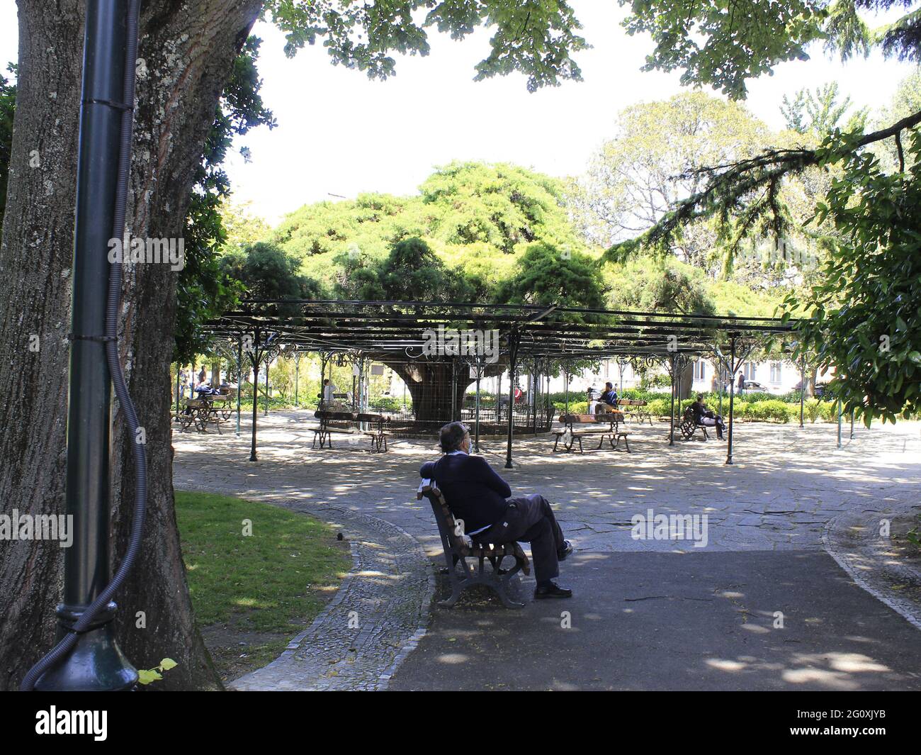 Lisbon, Portugal. 3rd June, 2021. (INT) View of Principe Real Garden, in Lisbon. June 3, 2021, Lisbon, Portugal: View of Principe Real Garden, located on outskirts of Bairro Alto, and built in mid-19th century. The site is also home to ''Cedro do Principe'', first ''monumental tree in Portugal''. Credit: Edson de Souza/TheNews2 Credit: Edson De Souza/TheNEWS2/ZUMA Wire/Alamy Live News Stock Photo