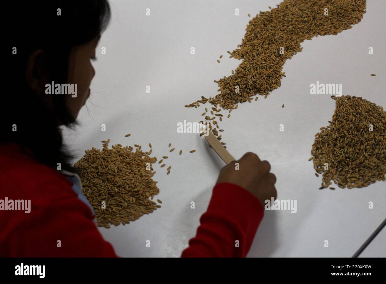 The International Rice Research Institute (IRRI) at Los Baños, Philippines. Stock Photo