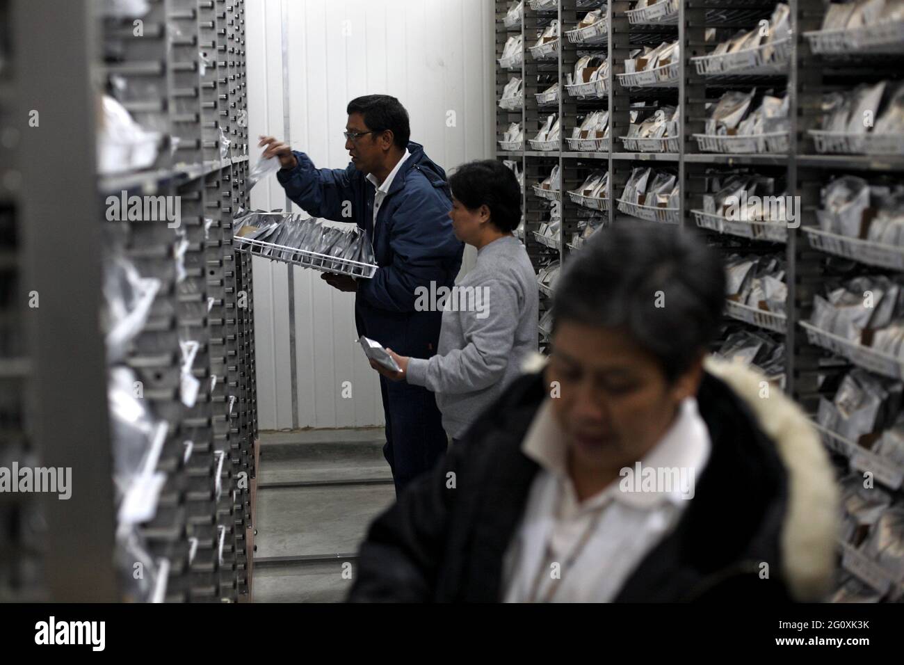 The International Rice Research Institute (IRRI) at Los Baños, Philippines. Stock Photo