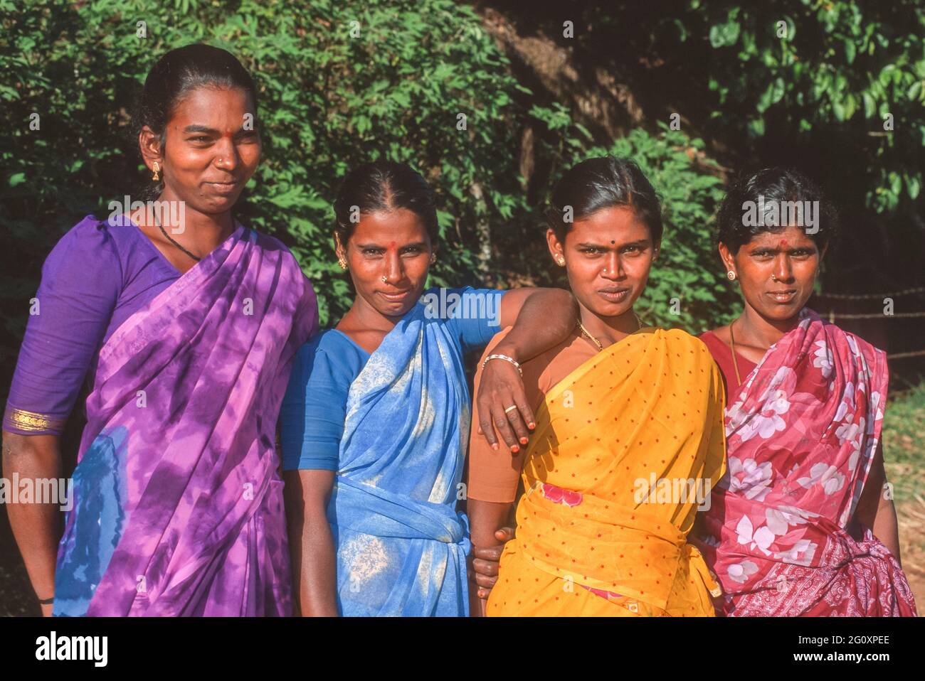 IDUKKI DISTRICT, KERALA, INDIA - Four Tamil women coffee pickers, Periyar. Stock Photo