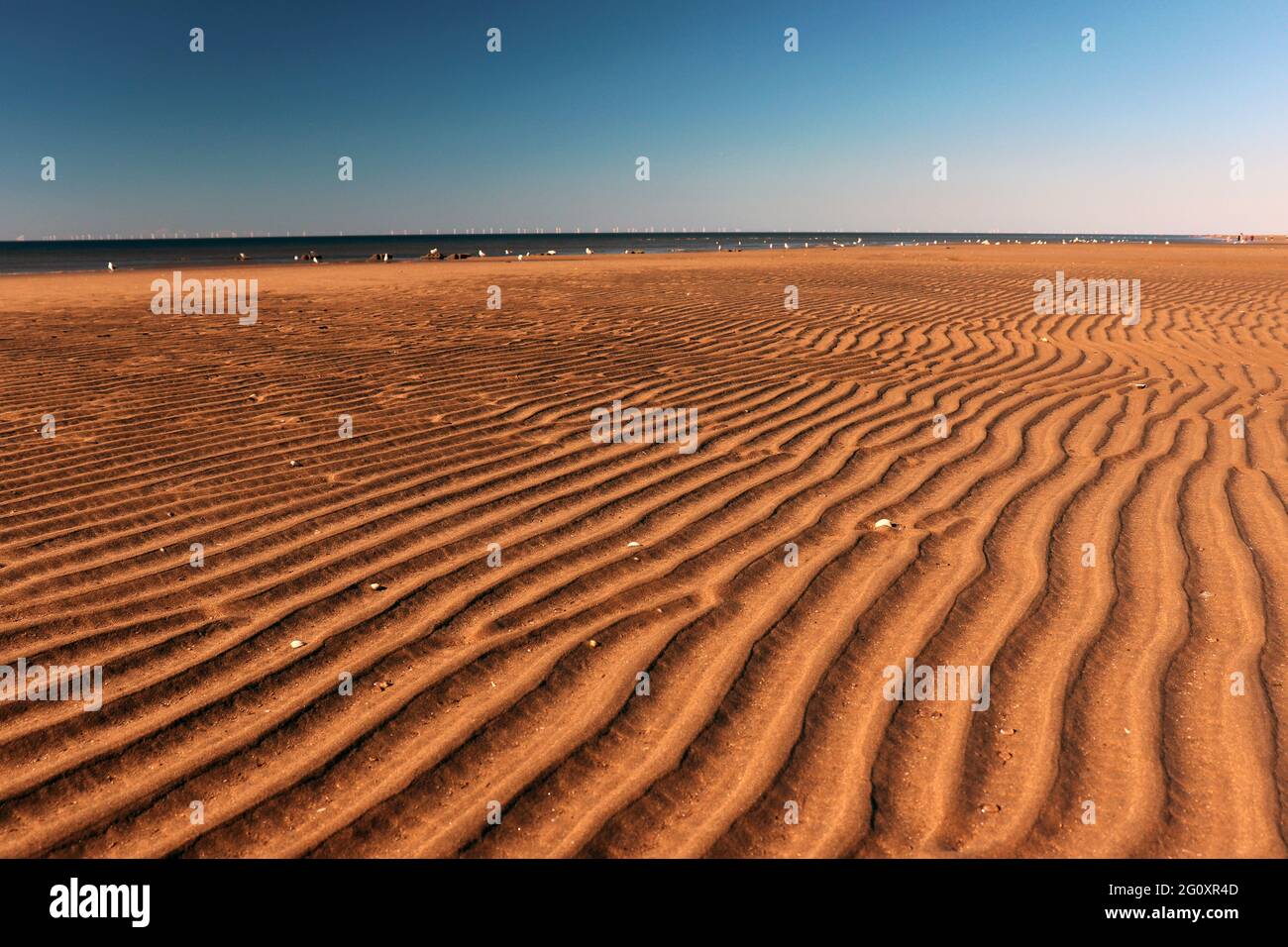 sand dunes on the beach Stock Photo - Alamy