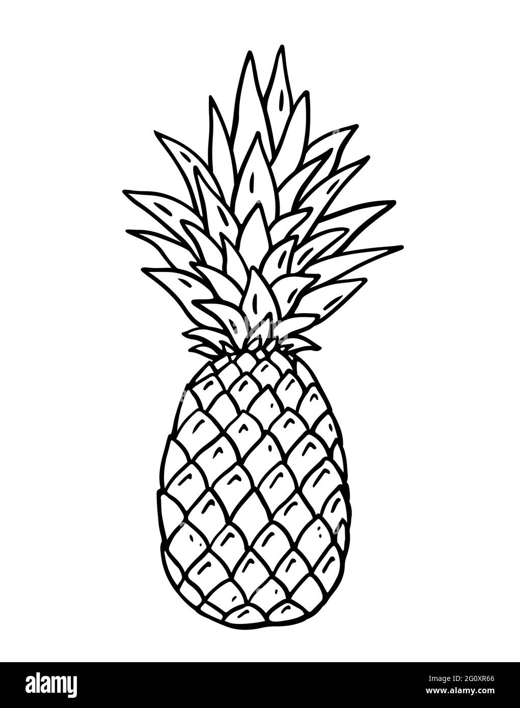 Ripe pineapple isolated on white background. Vector hand-drawn illustration in doodle style. Perfect for your project, card, logo, decorations. Stock Vector