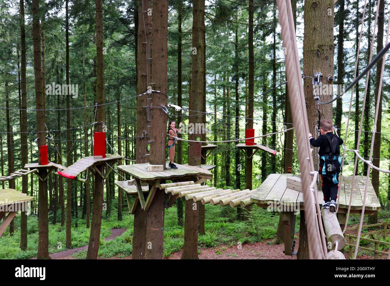 Zip World Fforest, Wales, UK Stock Photo