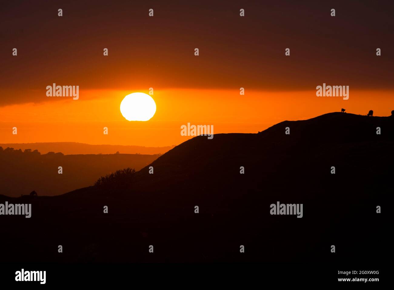 Askerswell, Dorset, UK.  3rd June 2021.  UK Weather.  A spectacular sunset viewed from Eggardon Hill at Askerswell in Dorset.  Picture Credit: Graham Hunt/Alamy Live News Stock Photo