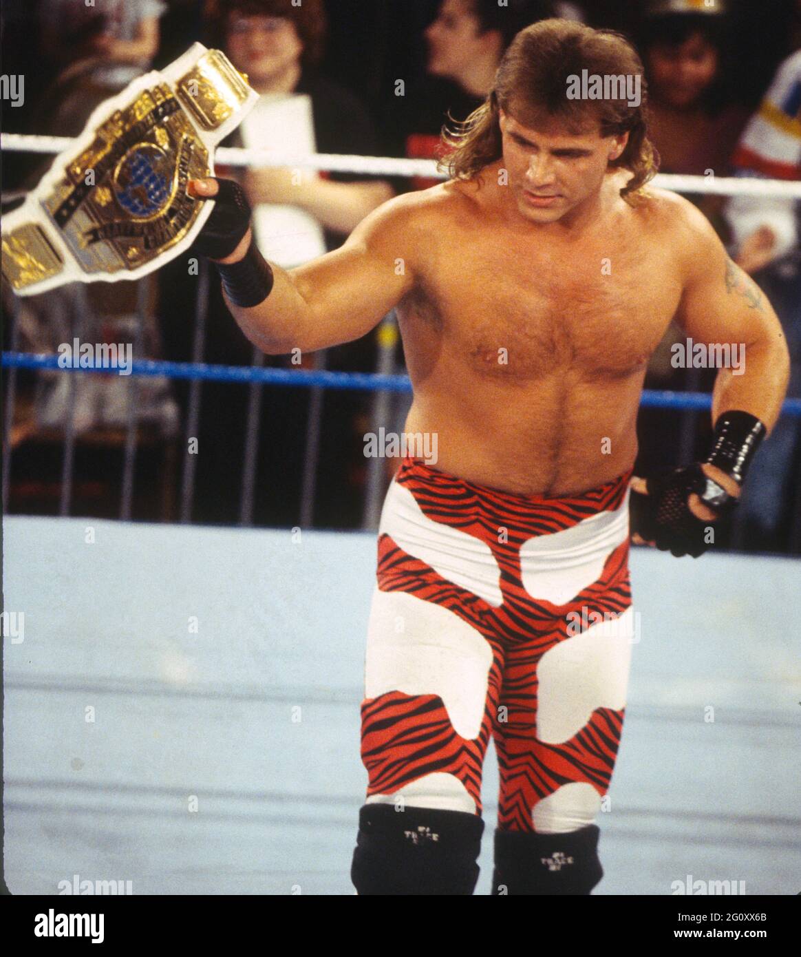 Shawn Michaels High School