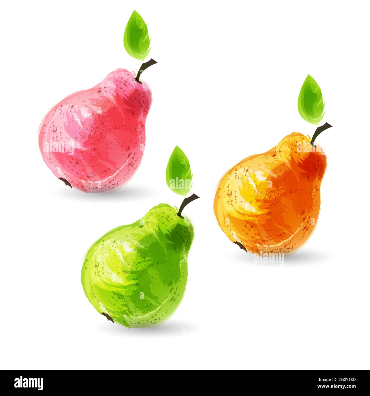 Set of fresh pears on white background. Vector illustration Stock ...