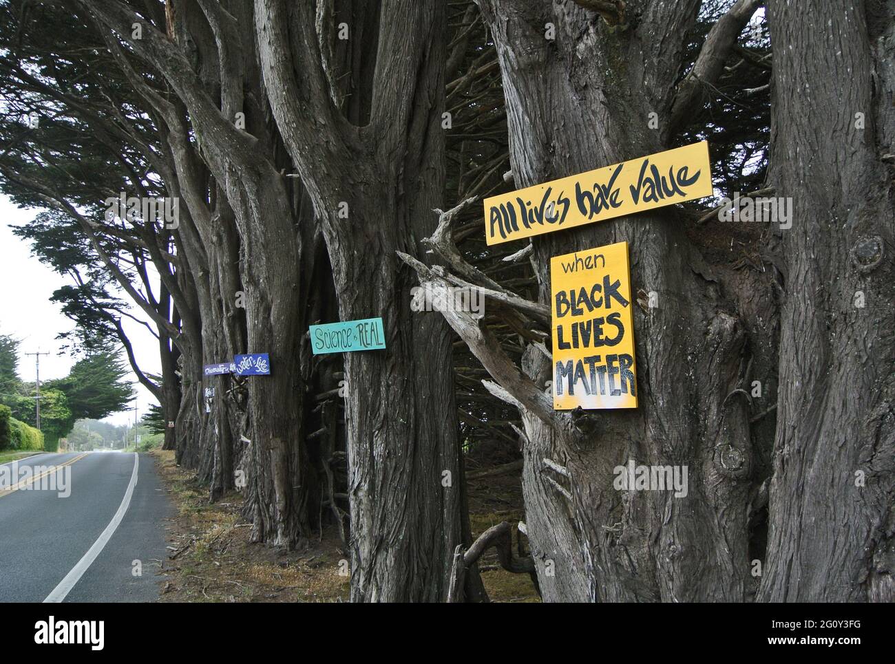 Black Lives matter ,love is love, womens rights political road signs along hwy 1 in Mendocino county california usa Stock Photo