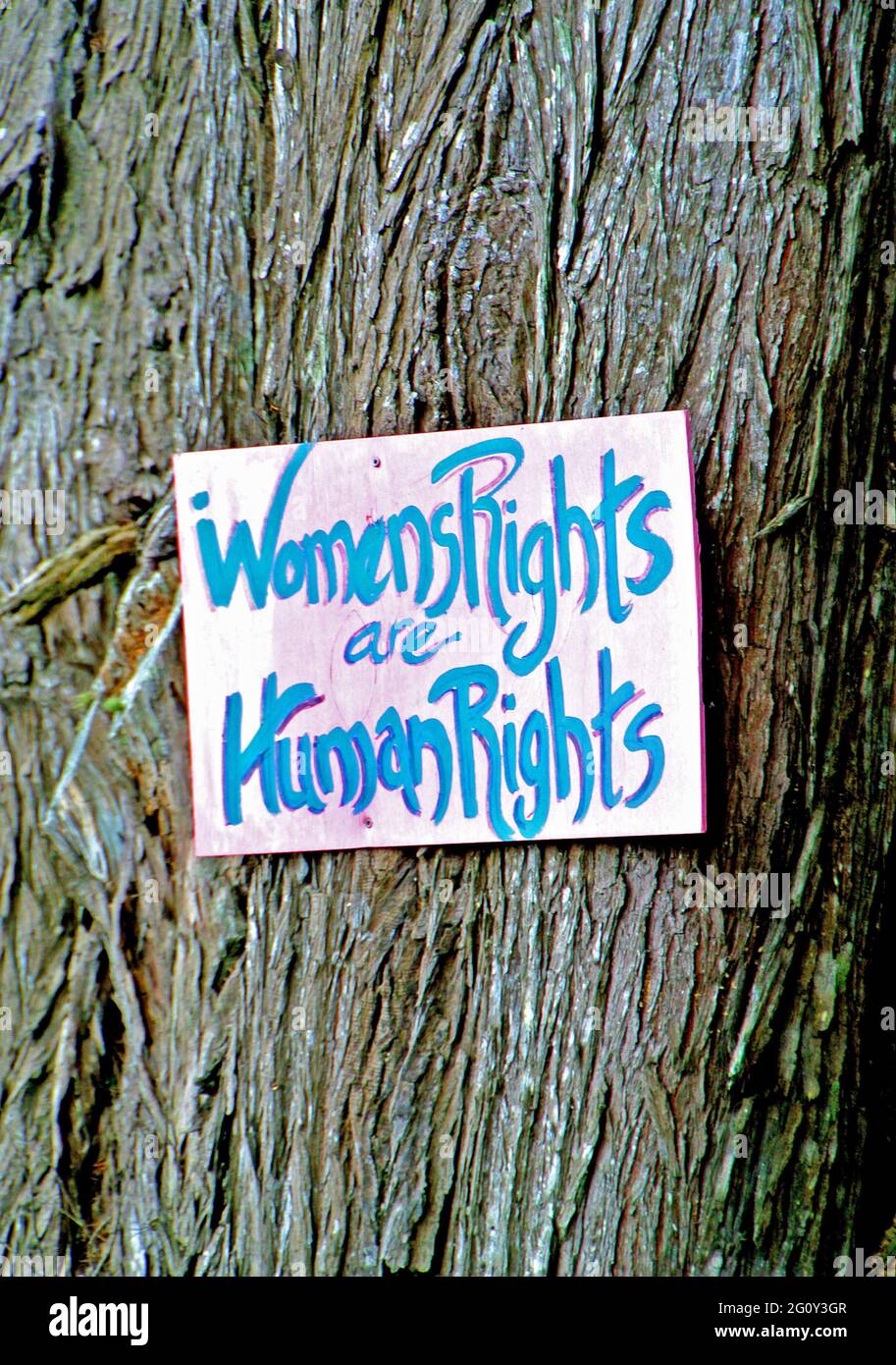 politial protest signs along highway 1 of Black Lives Matter, love is love, womens rights and science is real on trees in Mendocino county california usa Stock Photo