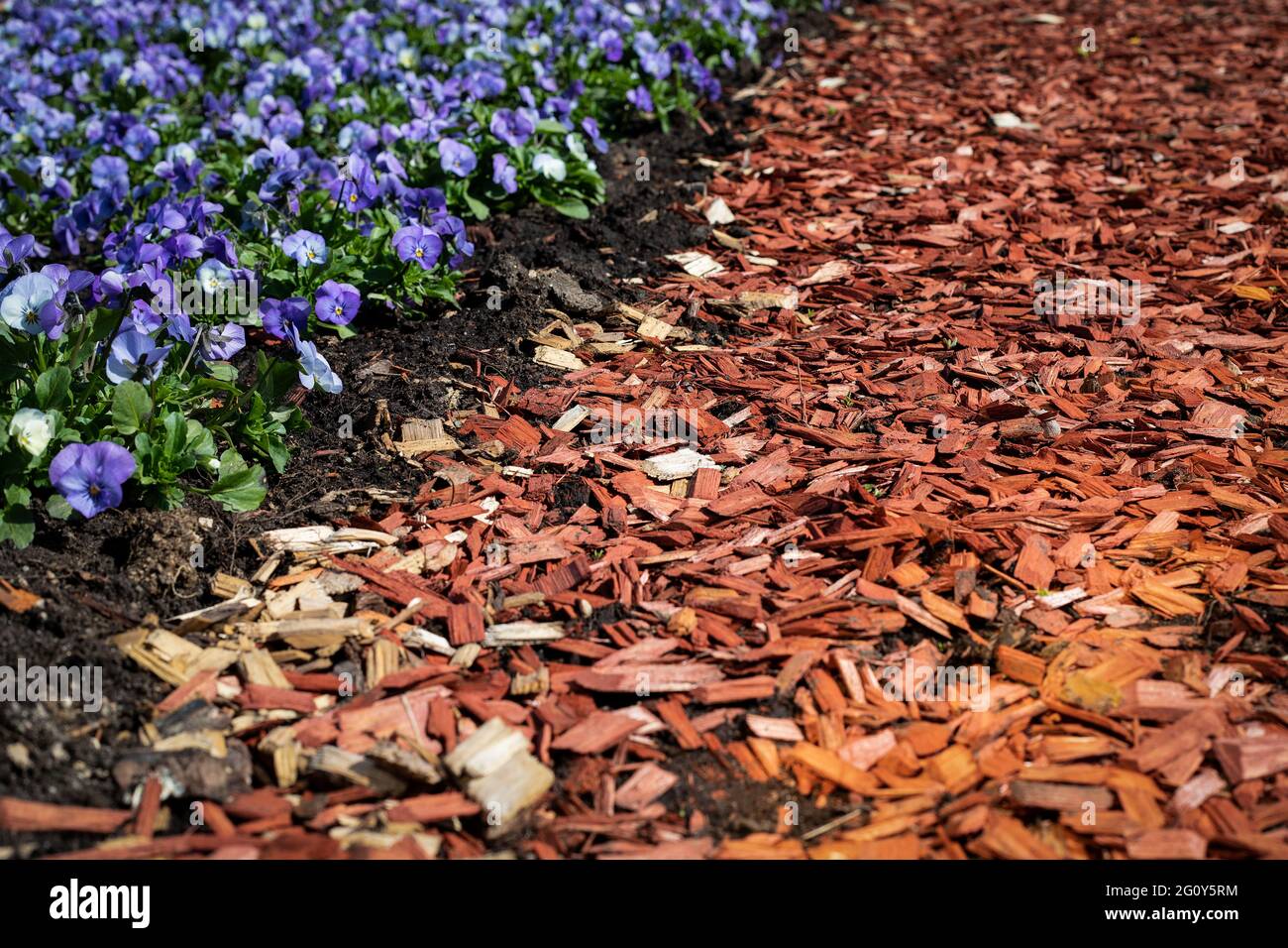 Mulch for flower beds hires stock photography and images Alamy