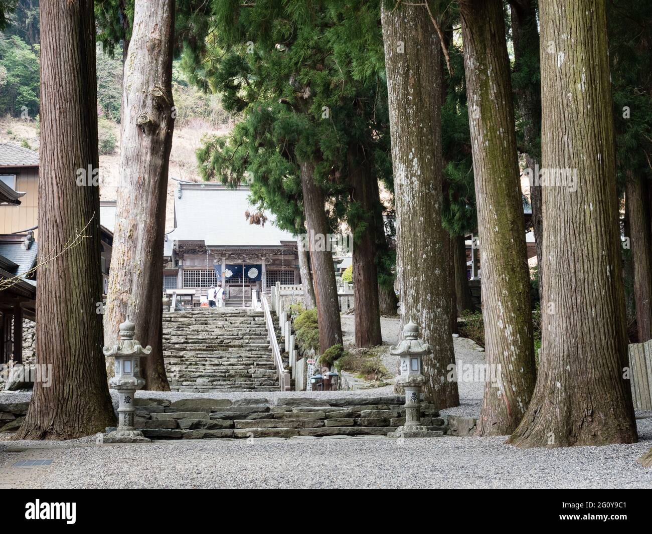 Tokushima, Japan - April 3, 2018: Old growth trees on the grounds of Shosanji, temple number 12 of Shikoku pilgrimage Stock Photo