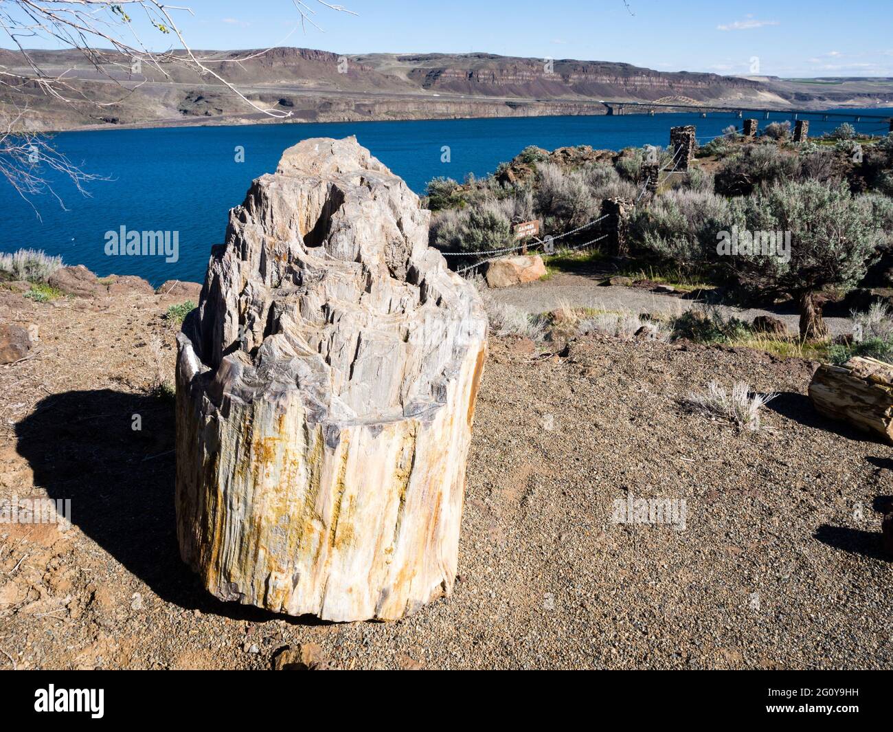 Ginkgo Petrified Forest State Park in Washington state Stock Photo