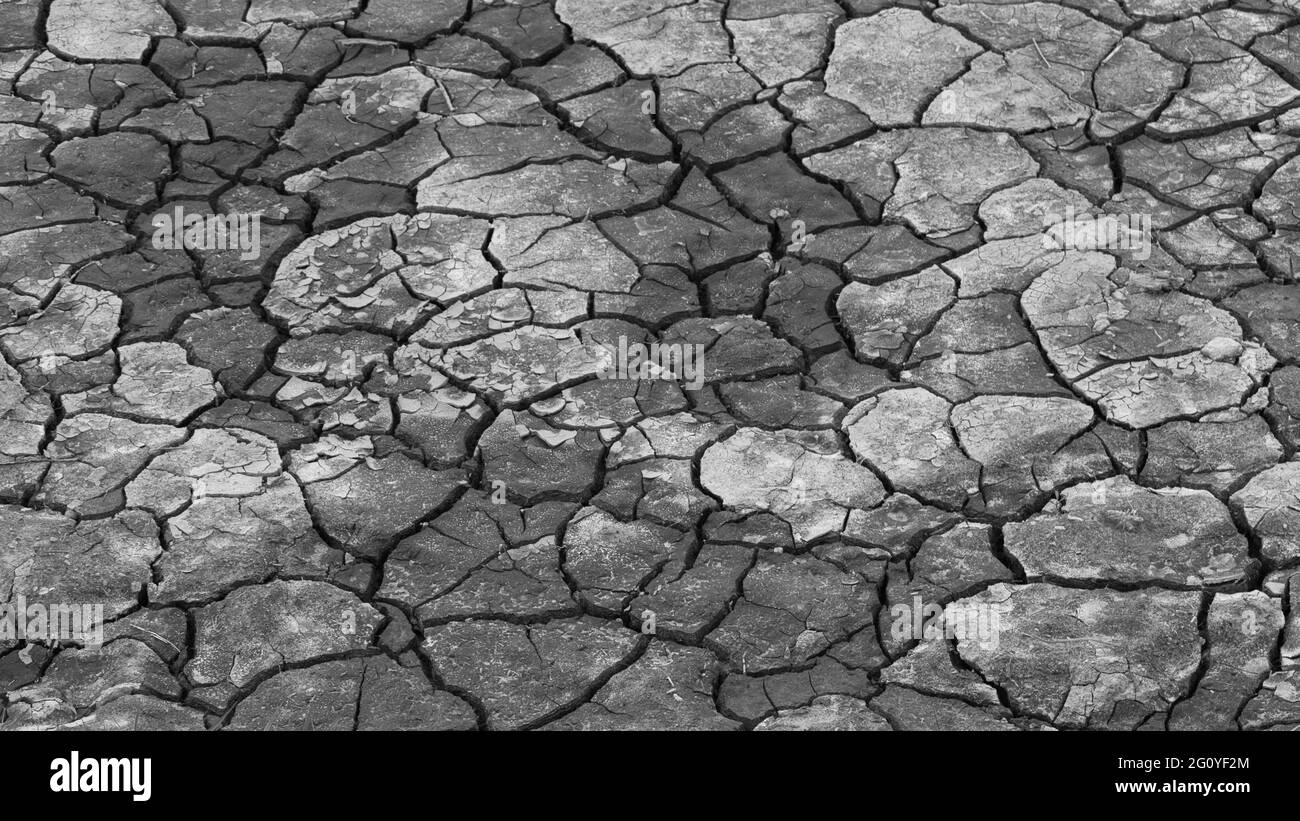 cracked, dry earth in midsummer Stock Photo