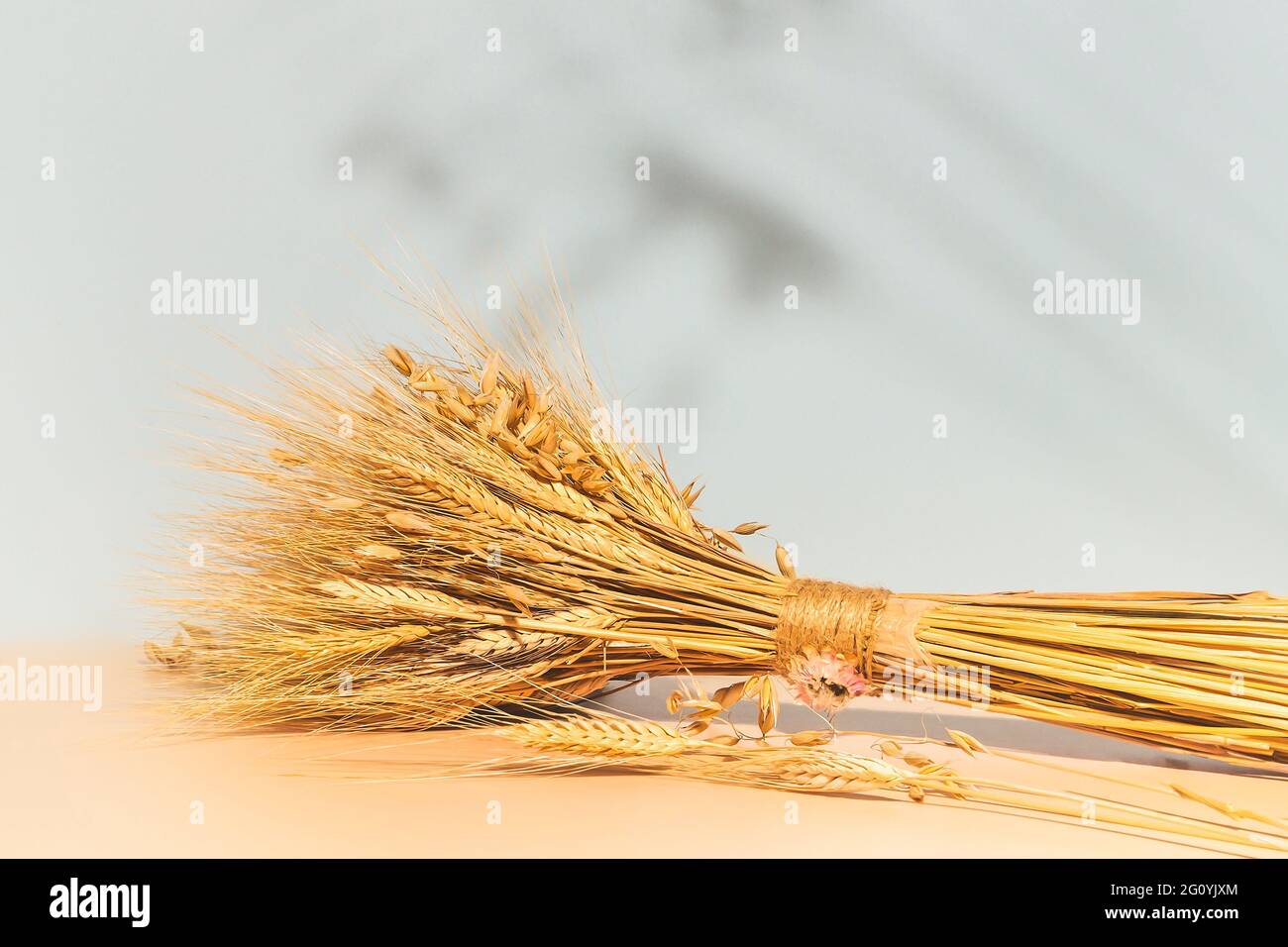 Horizontal, eco friendly composition is suitable for the concept naturalness, environmental friendliness. Harvest Day. Summer light background Stock Photo