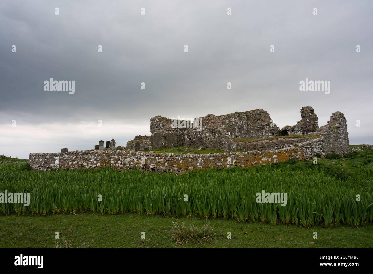 Teampull na Trianaid - Trinity Temple - North Uist, Outer Hebrides, Scotland. Ruins of ancient monastery and temple with grass and green plants. Stock Photo