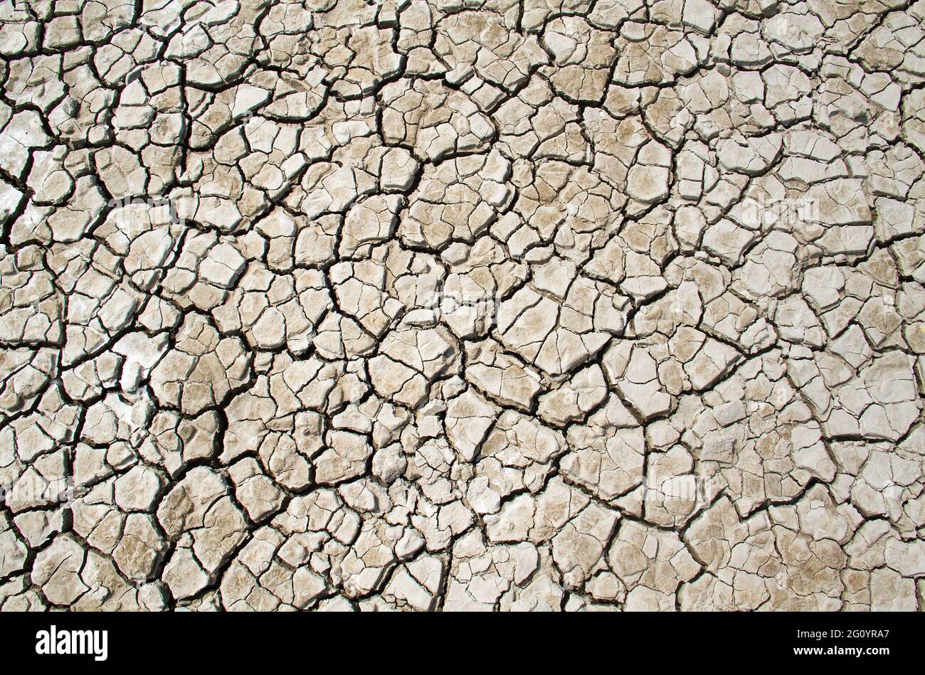Pattern of cracks in dried clay in an estuary Stock Photo