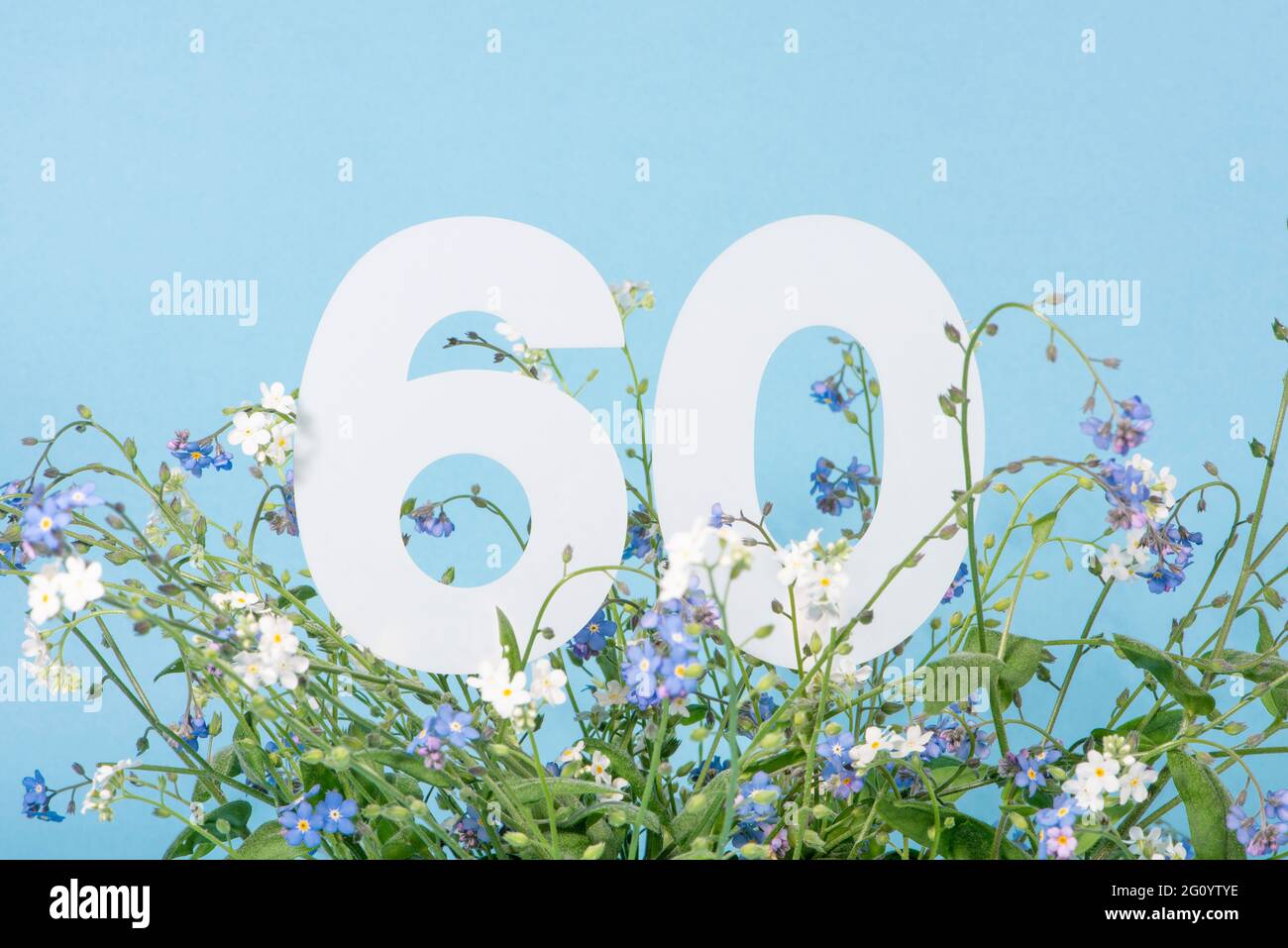 Number Sixty Among Blue Forget Me Not Flowers Birthday Anniversary