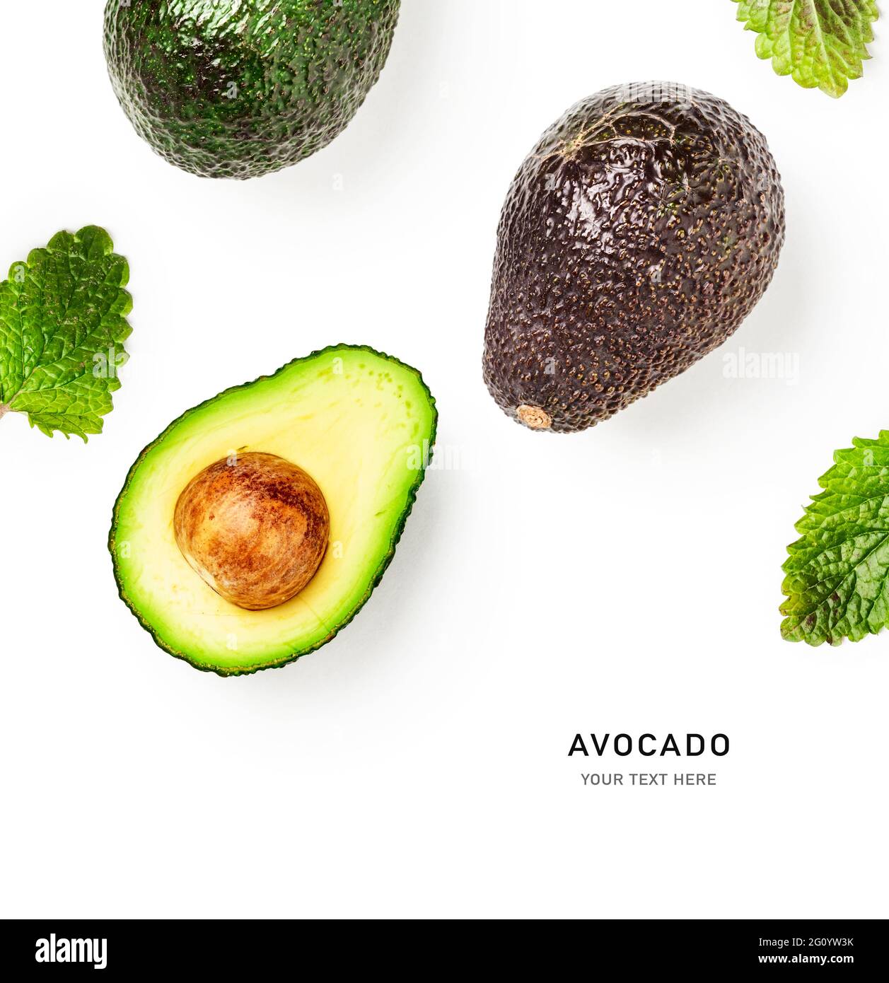 Avocado creative layout and composition isolated on white background ...