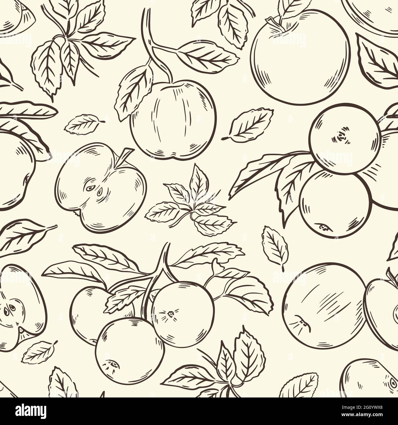 Seamless pattern with apples, vector. Fruits whole and halves, on a branch and leaves. Hand drawing sketch. Background vintage style. Hand engraving Stock Vector