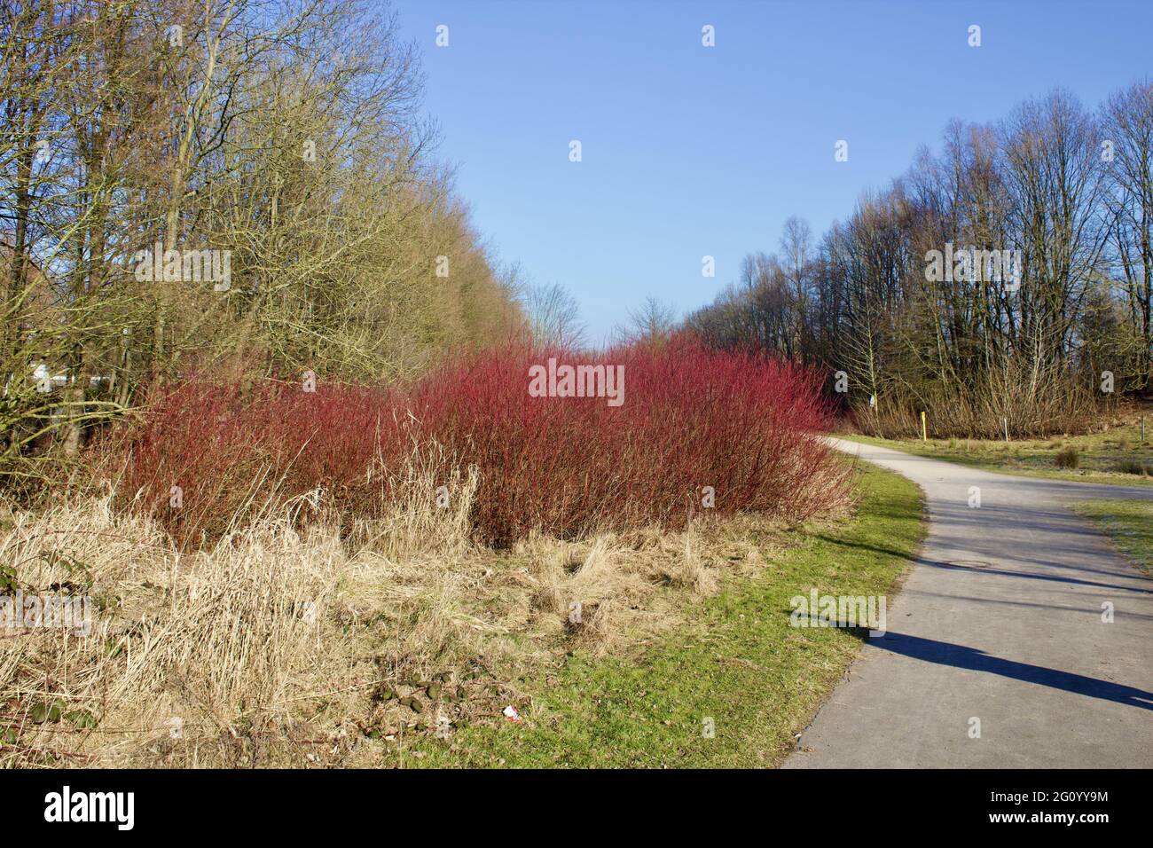 Road blue sky greenery hi-res stock photography and images - Alamy