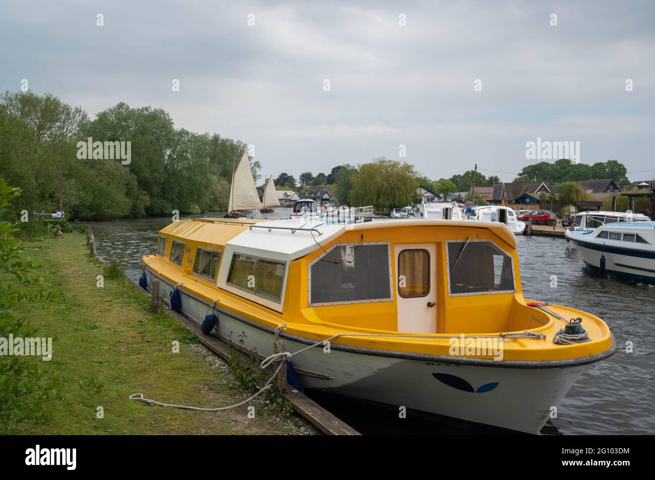 Norfolk Broads river bank with a motor cruiser tied up on a busy part of the River Bure Stock Photo