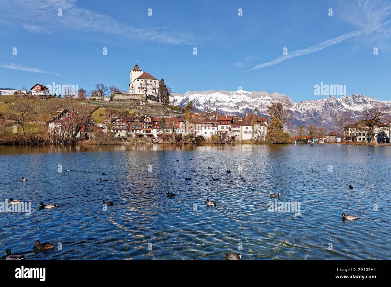 Historical village Werdenberg with castle and ducks swimming in Werdenberg's lake Stock Photo