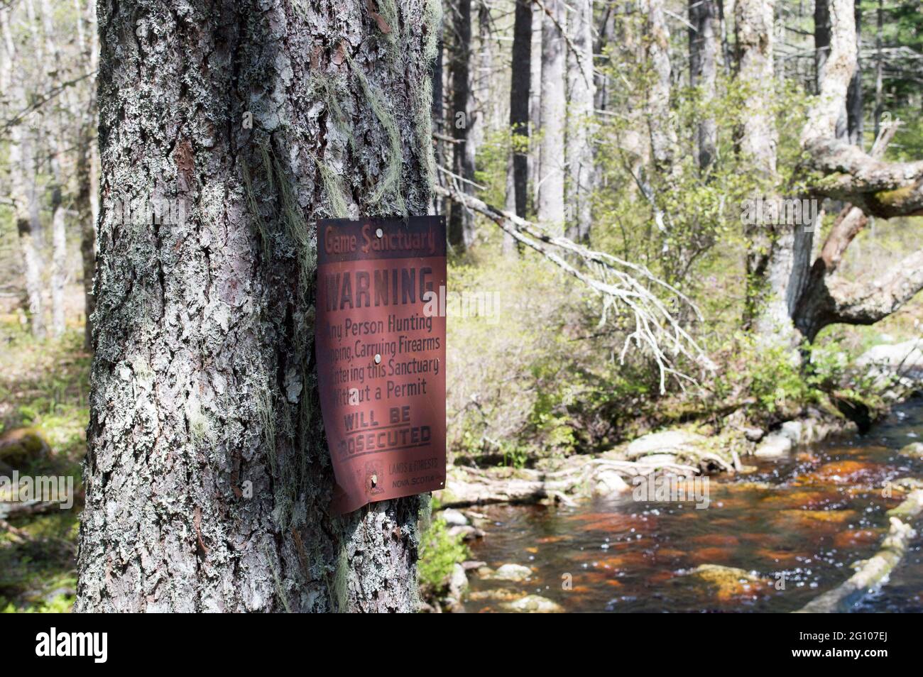 Game sanctuary hires stock photography and images Alamy