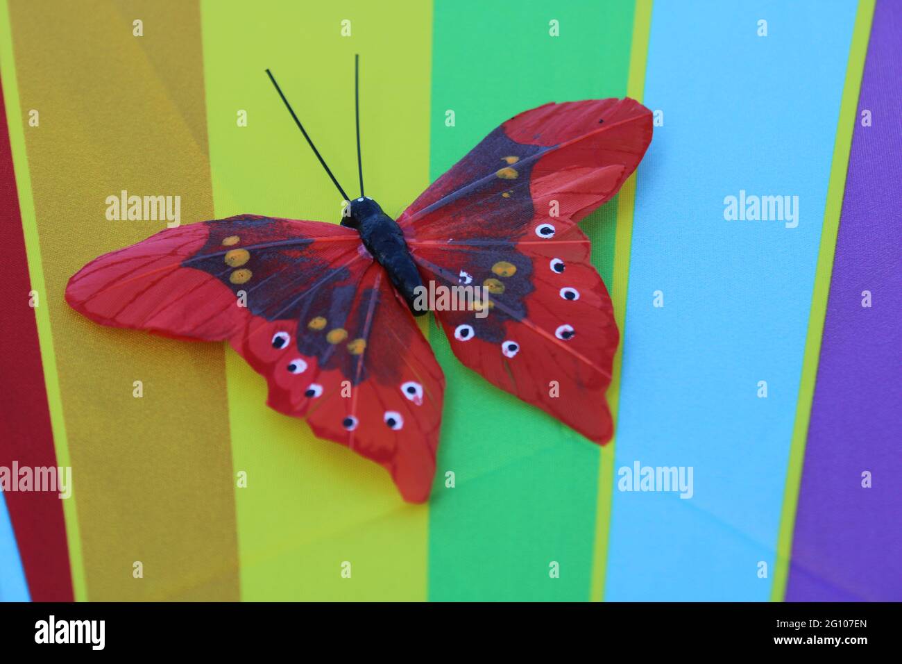 Red and purple butterfly isolated on a fabric rainbow background with copy space Stock Photo