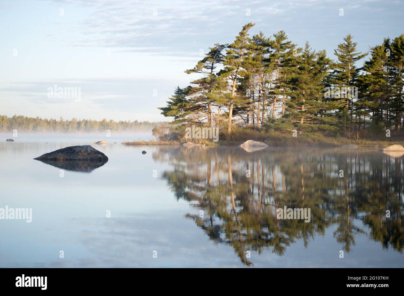 Pine woods nova scotia hires stock photography and images Alamy