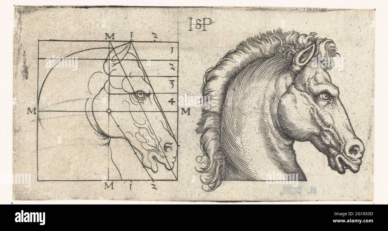Horse head and drawing in schedule according to proportion leather