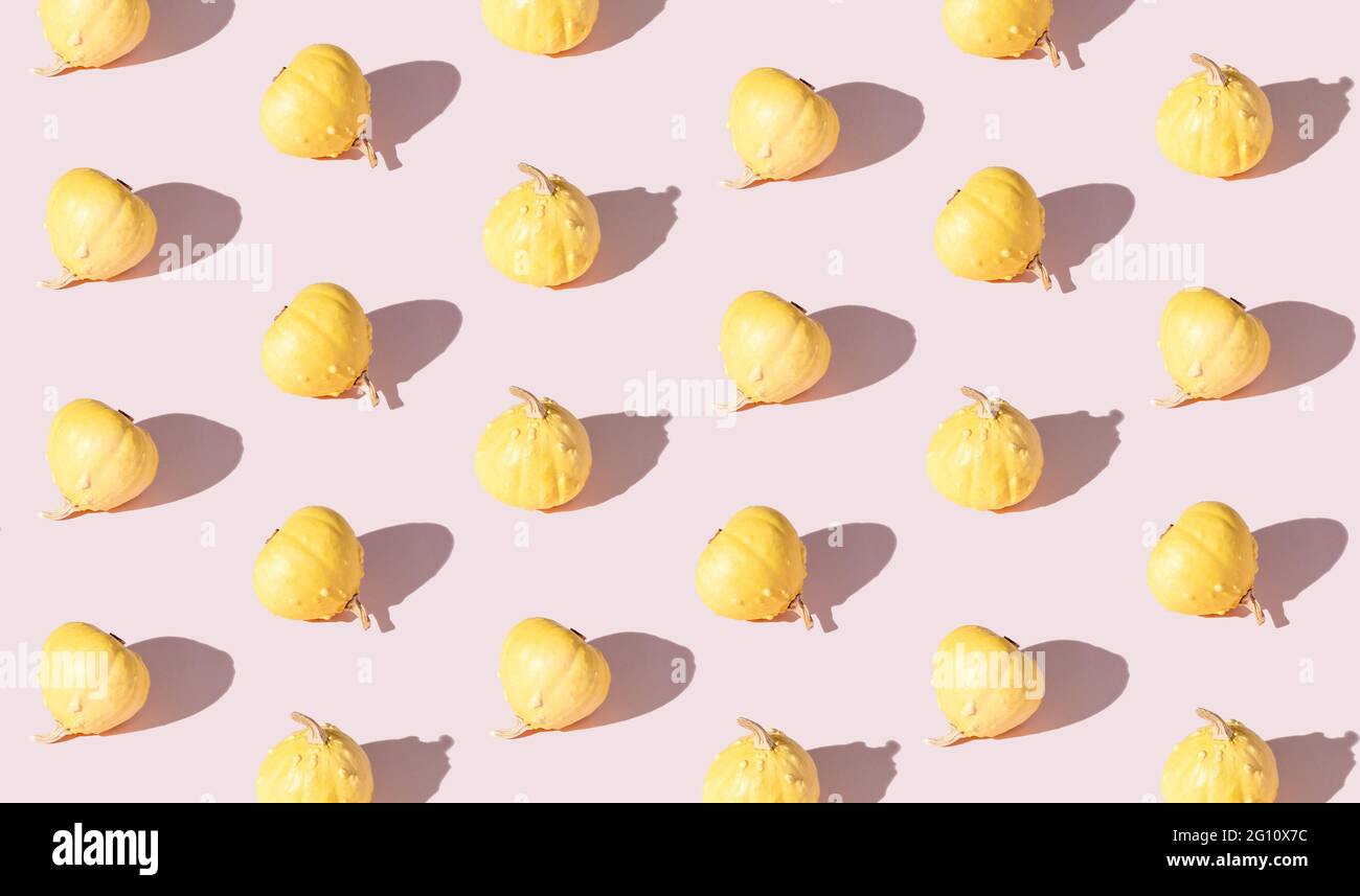 Full frame of decorative mini pumpkin pattern. Mini pumpkins with a hard shadow. Stock Photo