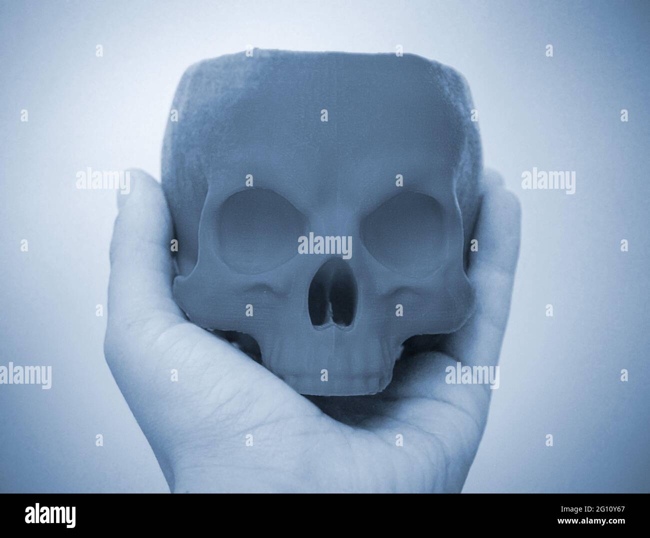 Skull printed on 3d printer in man's hand. Progressive modern Stock Photo