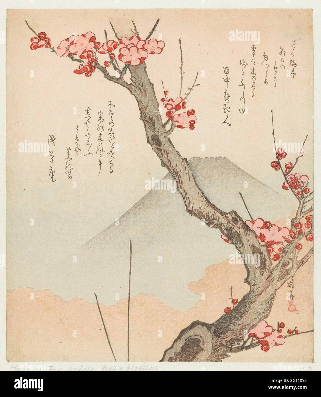 Traditional japanese plum blossoms clouds hi-res stock photography and ...