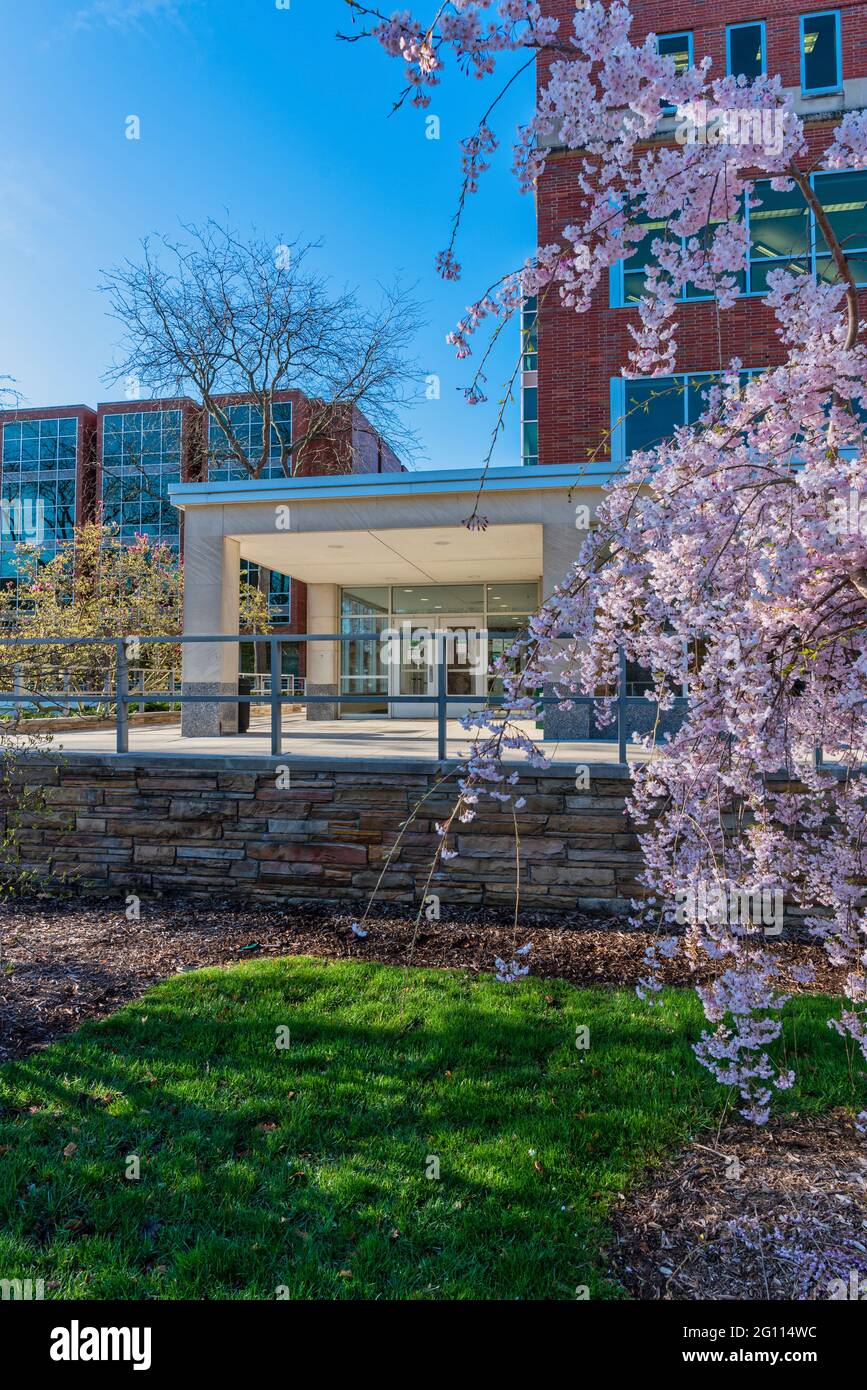 Library resources hi-res stock photography and images - Alamy