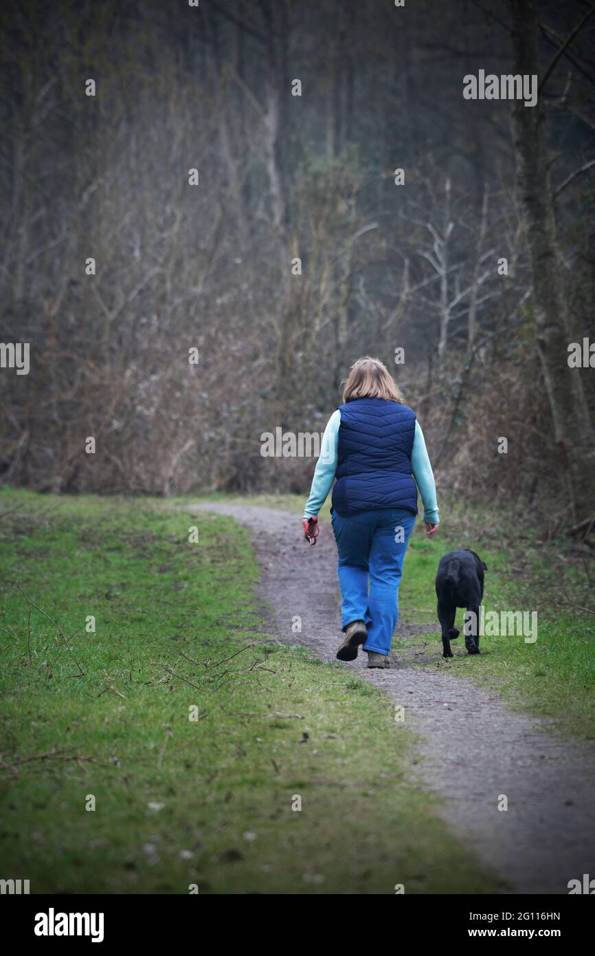 lone  larger woman walking black dog down deserted country lane broome norfolk england Stock Photo