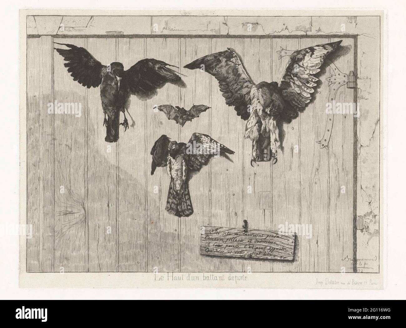 Three dead birds and bat murdered on door; Le Haut d'un battant de porte. On the top of a door, three dead birds and a bat stick to their spread wings with nails. Linking a raven hangs at the top right of a large bird of prey and in the middle of possible a sparrowhow or hawk. The bat hangs in the middle. On a nail hangs with a string a wooden sign with a French fresh in four lines ICI TU VOIS ... Voler Sont Deux. Stock Photo