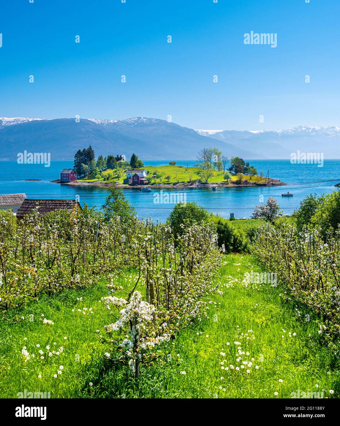 View towards the Omaholmen in the Hardangerfjord, Western Norway. Stock Photo