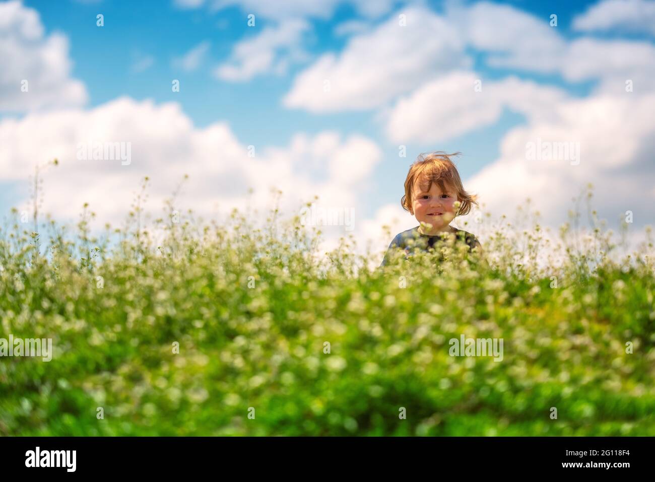 Happy baby boy enjoying spring green grass with daisy flowers in a field Stock Photo