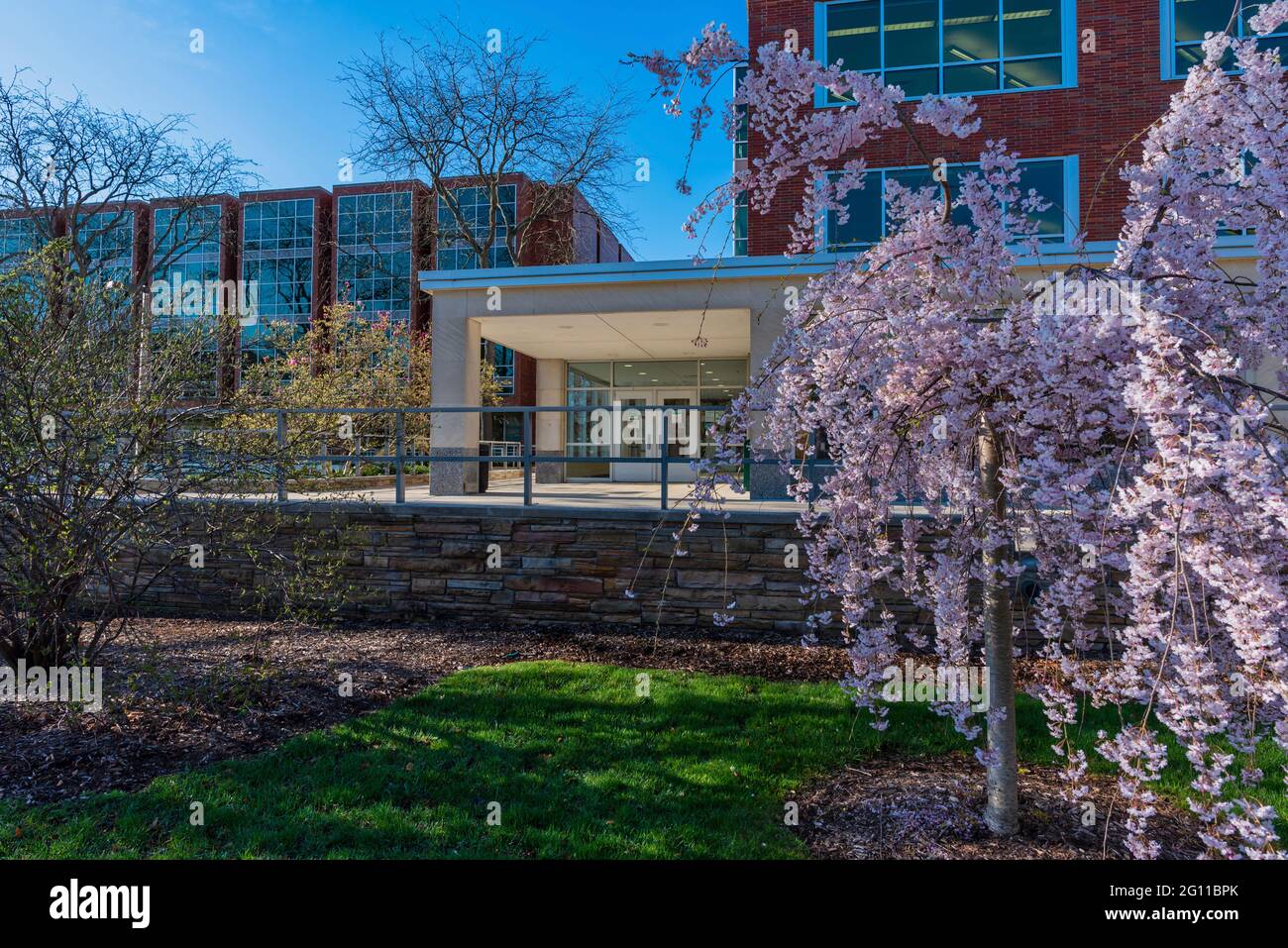 Library resources hi-res stock photography and images - Alamy