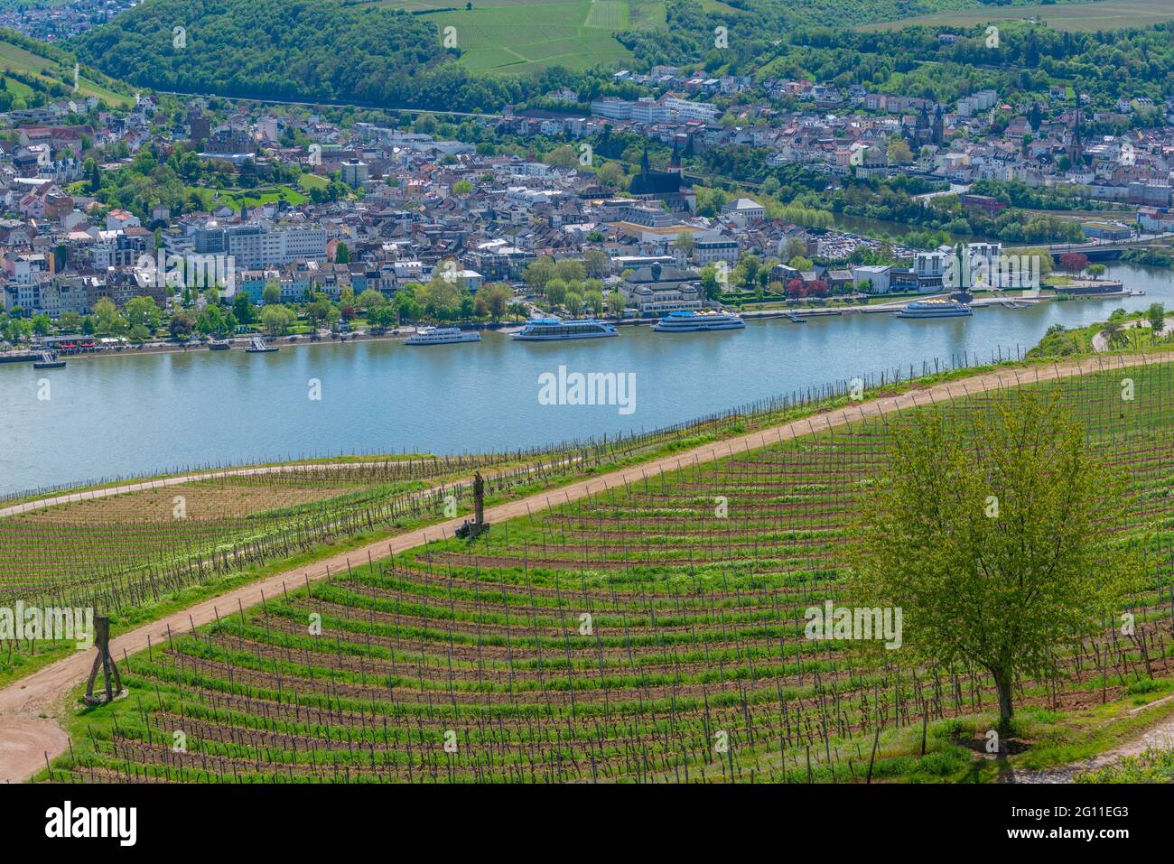 Vineyard and town of Bingen, seen from the Niederwald Monument, Rhine Valley, confluence of Rhine and Nahe RiverRhineland-Palatinate, Germany Stock Photo