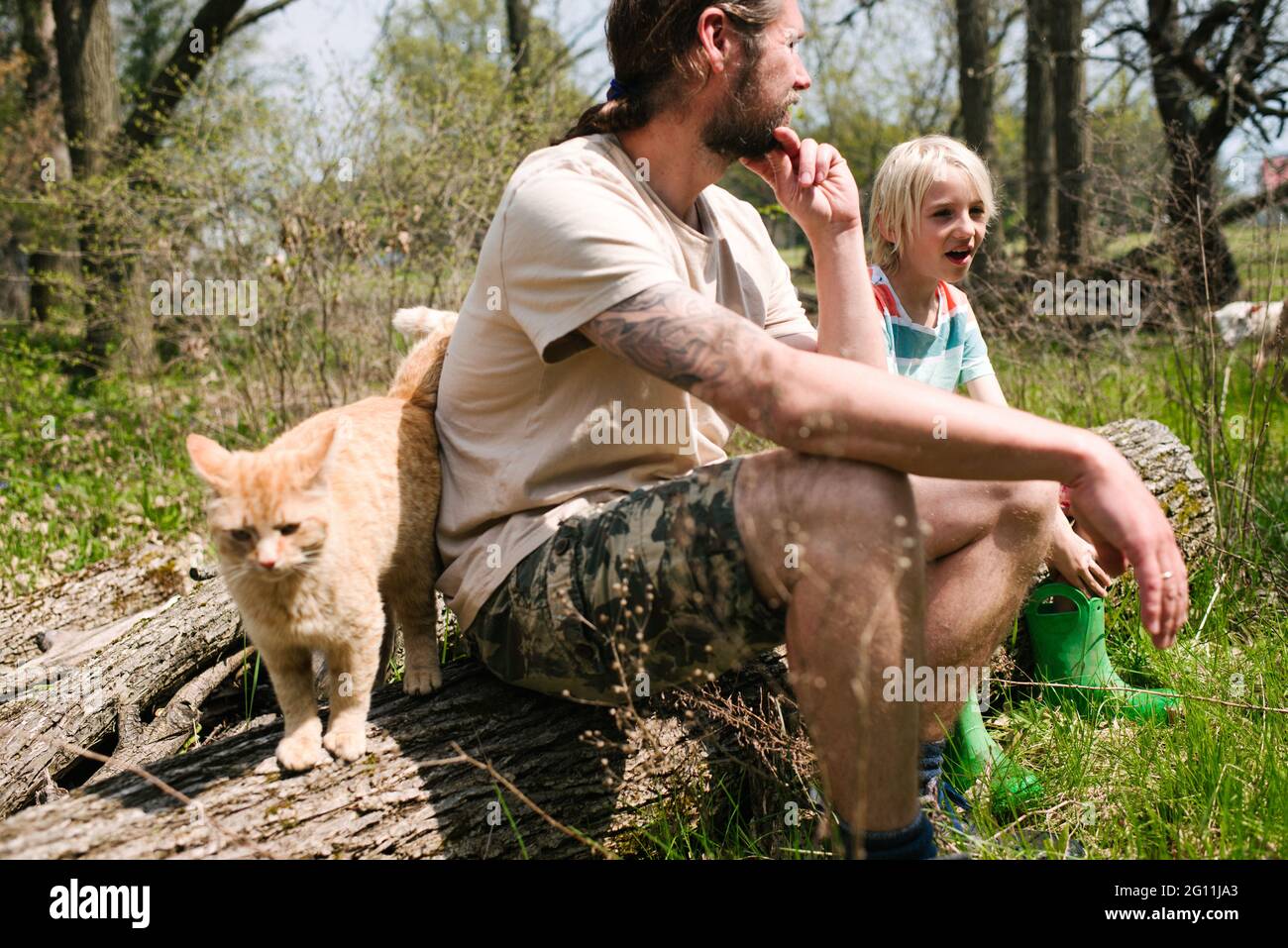 Canada, Ontario, Kingston, Father and son sitting on log with ginger cat Stock Photo