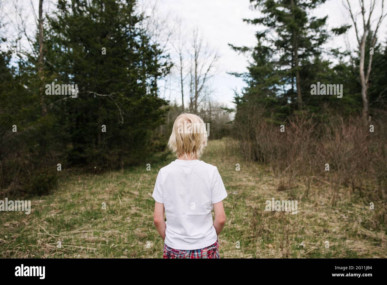 Canada, Ontario, Kingston, Rear view of boy in forest Stock Photo