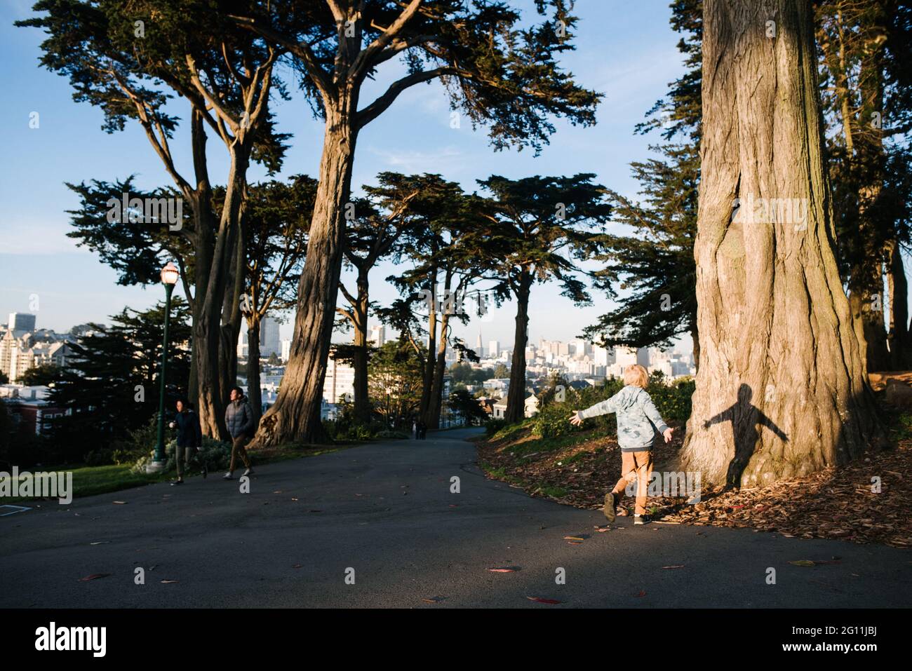 USA, California, San Francisco, Child with arms outstretched at tree trunk Stock Photo