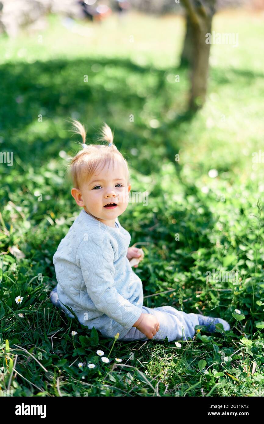 Smiling little girl sitting on green grass near daisies Stock Photo - Alamy