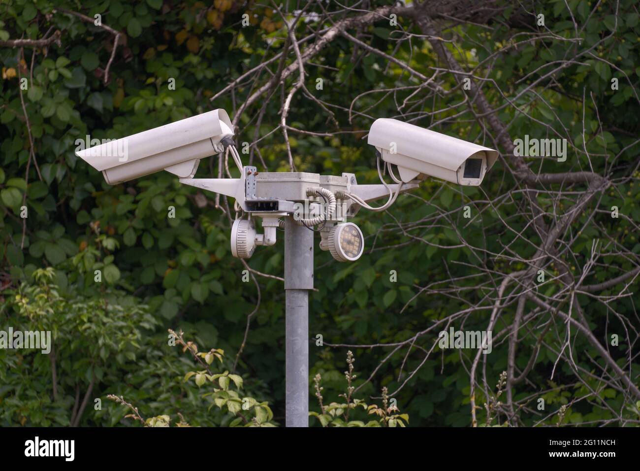 Security system in a public park in the city Stock Photo