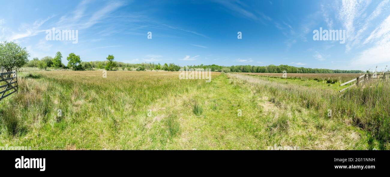 Panorama of Strumpshaw RSPB reserve, Norfolk, United Kingdom Stock Photo