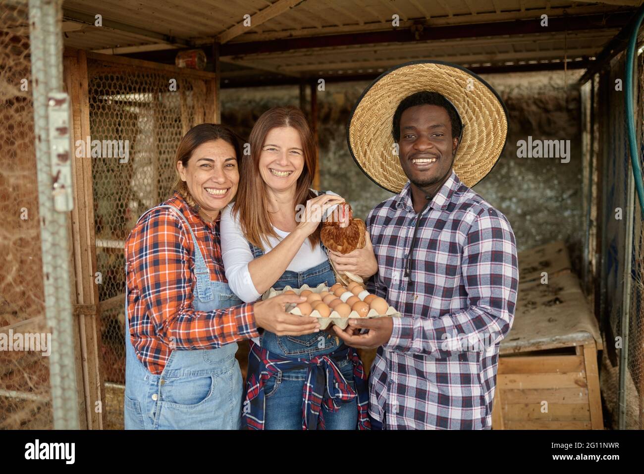 Delighted multiracial man and women with chicken and eggs smiling and looking at camera while standing near hen coop during work on farm Stock Photo